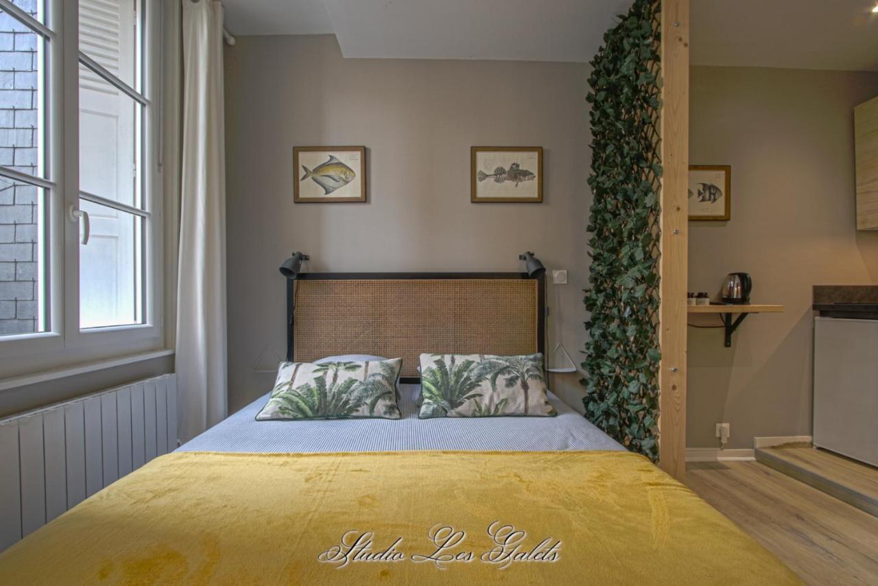 La Venelle Du Bassin Lejlighed Honfleur Eksteriør billede